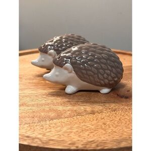 Hedgehog Stoneware Salt and Pepper shakers